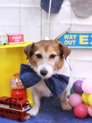 20230419こはるちゃん